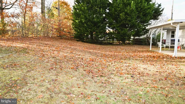 a view of backyard with green space