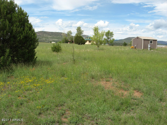 279 Rolling Hills Road, Unit X Young, AZ 85554 - Photo 1 of 13 a view of a lake with a yard