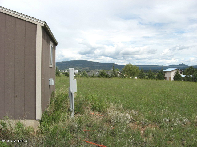 279 Rolling Hills Road, Unit X Young, AZ 85554 - Photo 4 of 13 a view of a garden with an outdoor space
