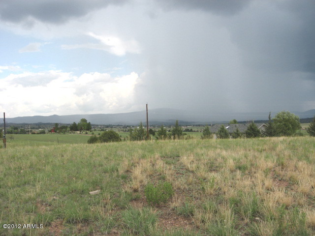 279 Rolling Hills Road, Unit X Young, AZ 85554 - Photo 9 of 13 a view of a field of grass and trees