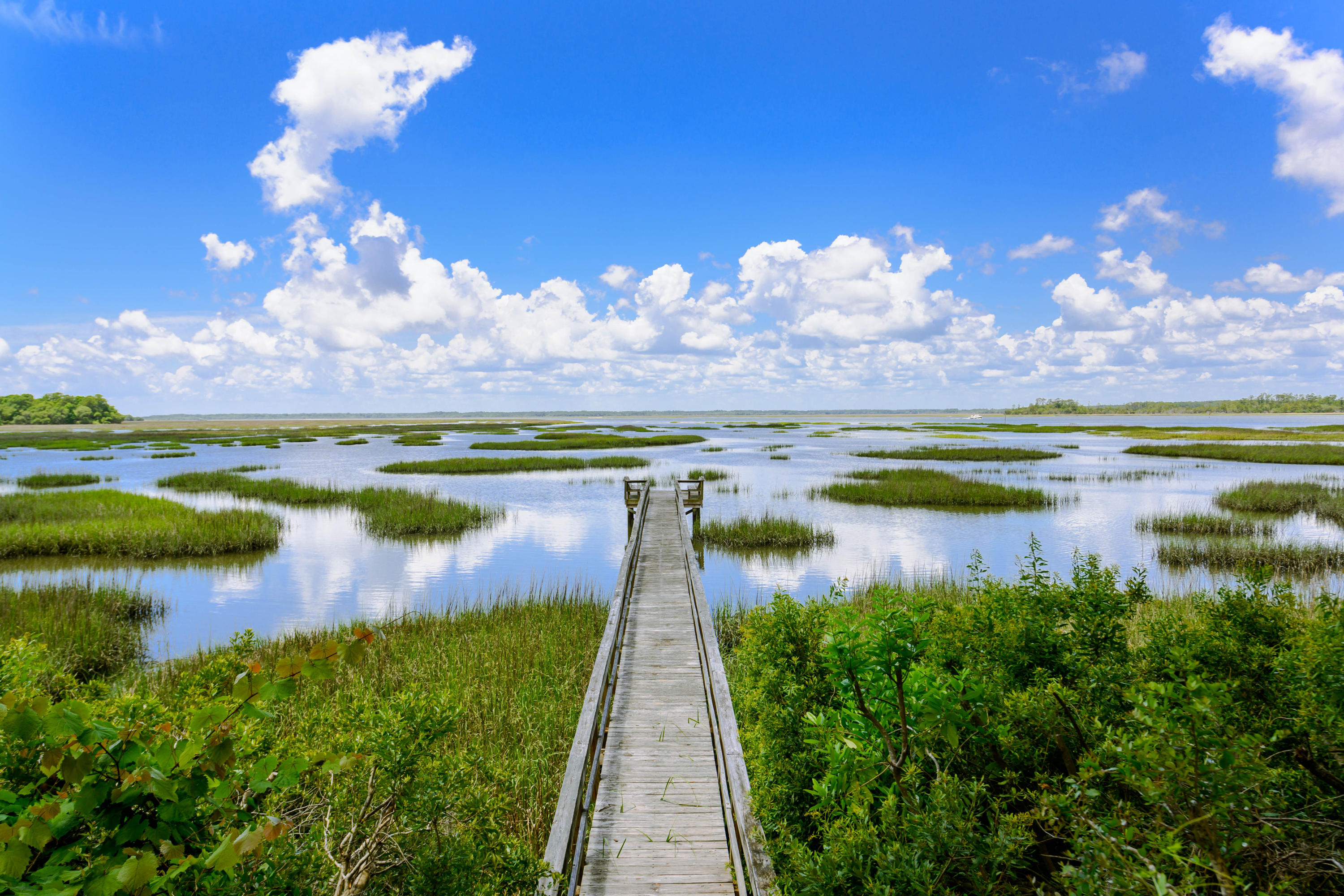 6696 Bears Bluff Road Wadmalaw Island, SC 29487 - Photo 1 of 27 6696 Bears Bluff Road_Low Res-60