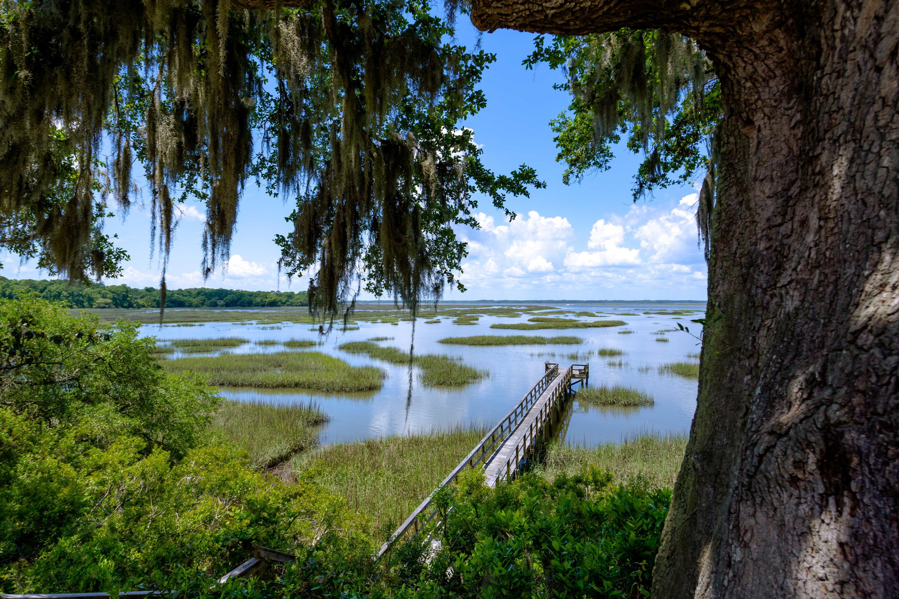 6696 Bears Bluff Road Wadmalaw Island, SC 29487 - Photo 2 of 27 6696 Bears Bluff Road_Low Res-52