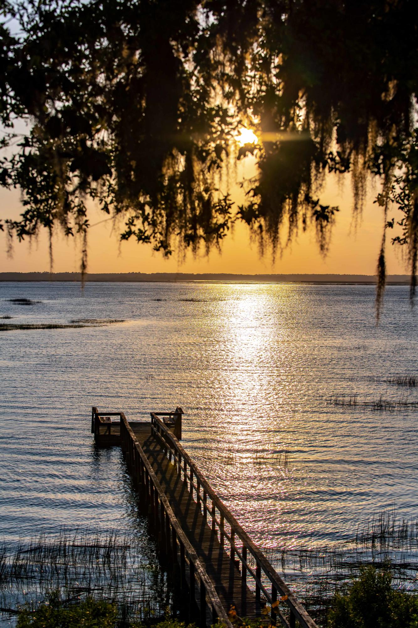 6696 Bears Bluff Road Wadmalaw Island, SC 29487 - Photo 26 of 27 6696 Bears Bluff Road Sunset_Low Res-15