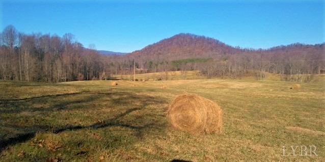 899 Wagon Trail Road Monroe, VA 24574 - Photo 1 of 83 Gallery Image 1