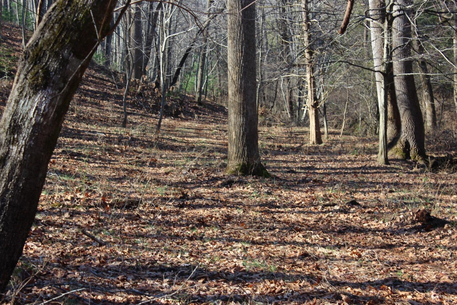 899 Wagon Trail Road Monroe, VA 24574 - Photo 15 of 83 Gallery Image 15