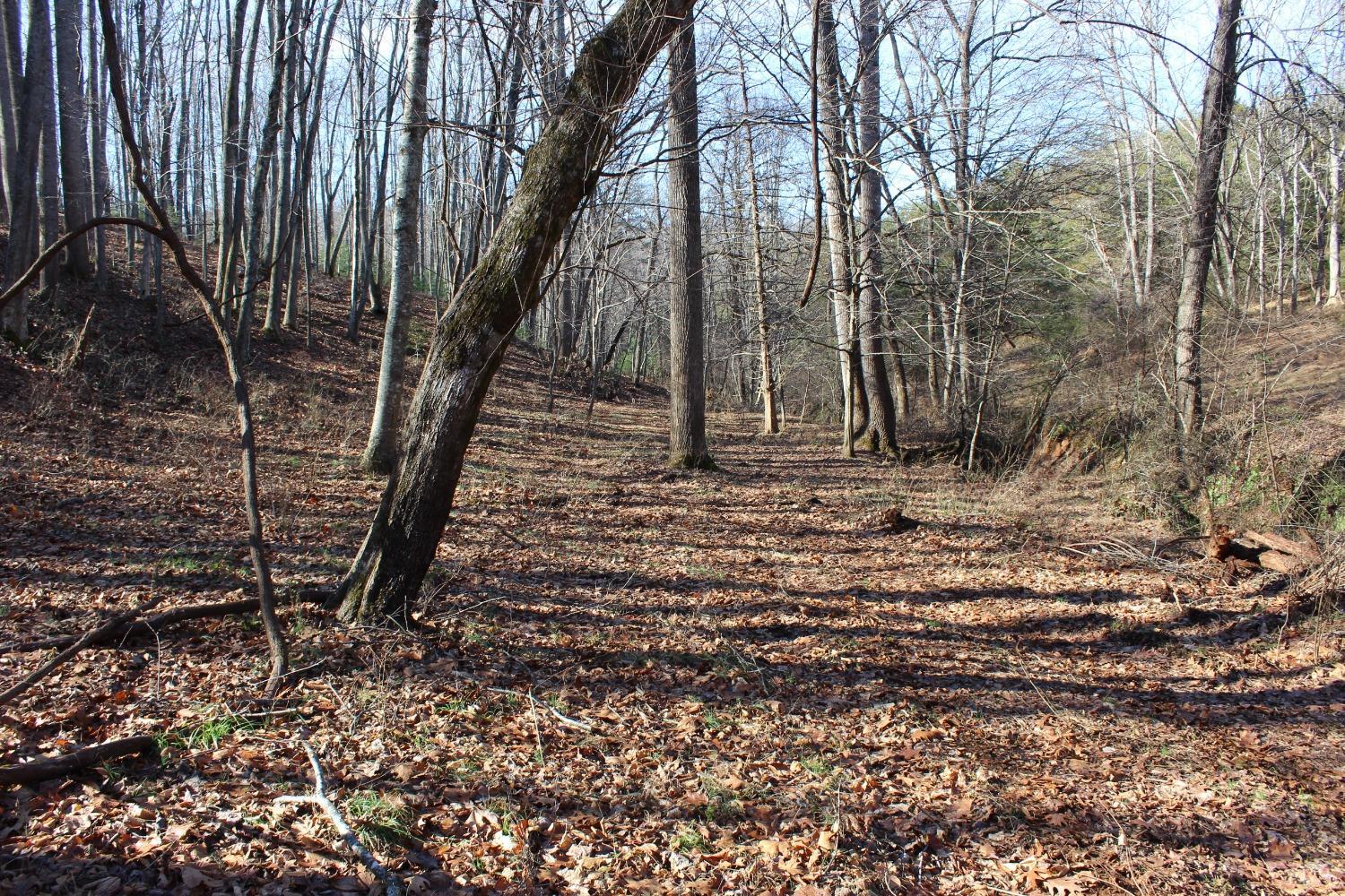 899 Wagon Trail Road Monroe, VA 24574 - Photo 16 of 83 Gallery Image 16