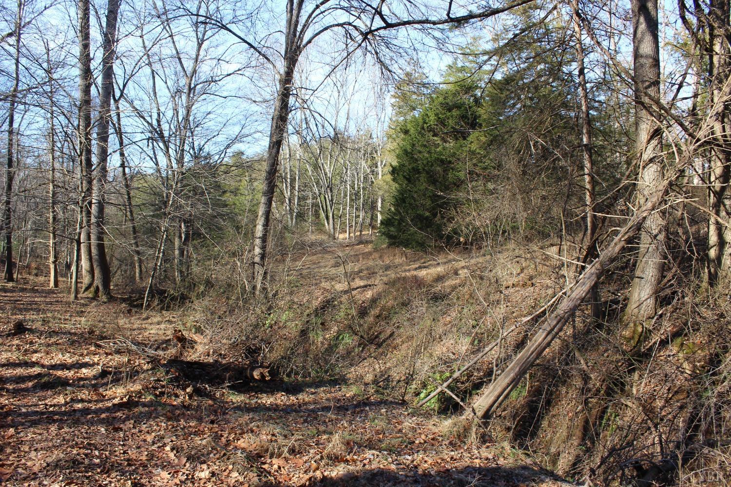 899 Wagon Trail Road Monroe, VA 24574 - Photo 17 of 83 Gallery Image 17