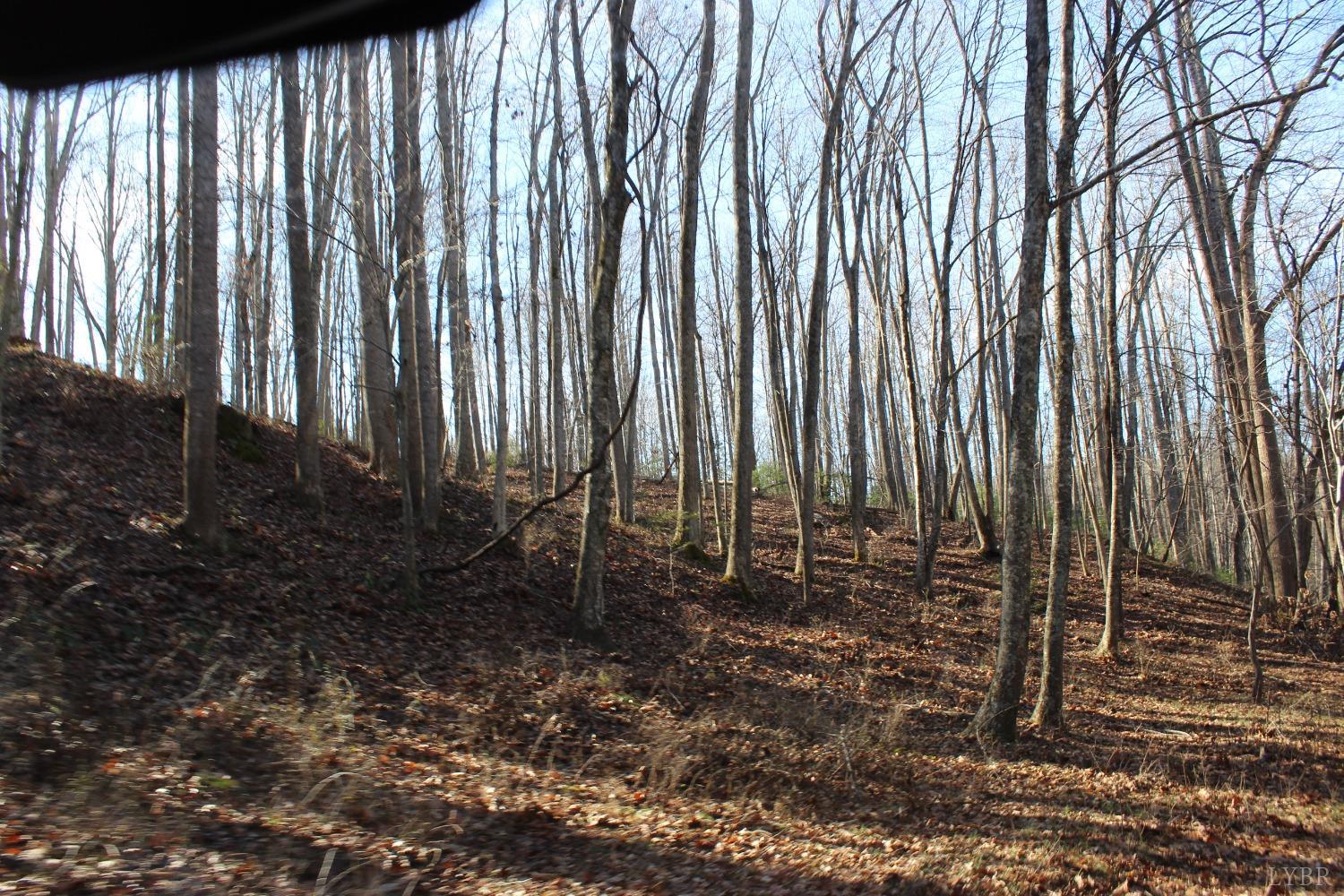 899 Wagon Trail Road Monroe, VA 24574 - Photo 18 of 83 Gallery Image 18