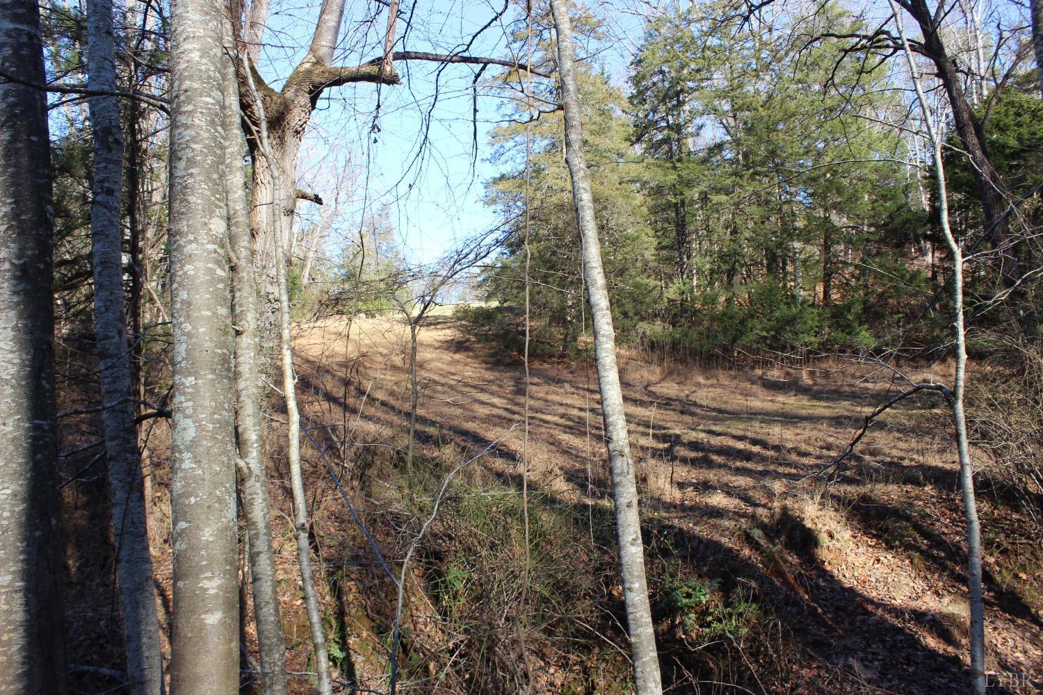 899 Wagon Trail Road Monroe, VA 24574 - Photo 19 of 83 Gallery Image 19