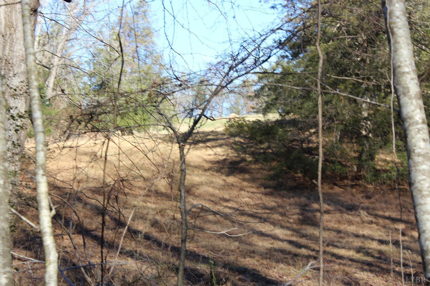 899 Wagon Trail Road Monroe, VA 24574 - Photo 20 of 83 Gallery Image 20