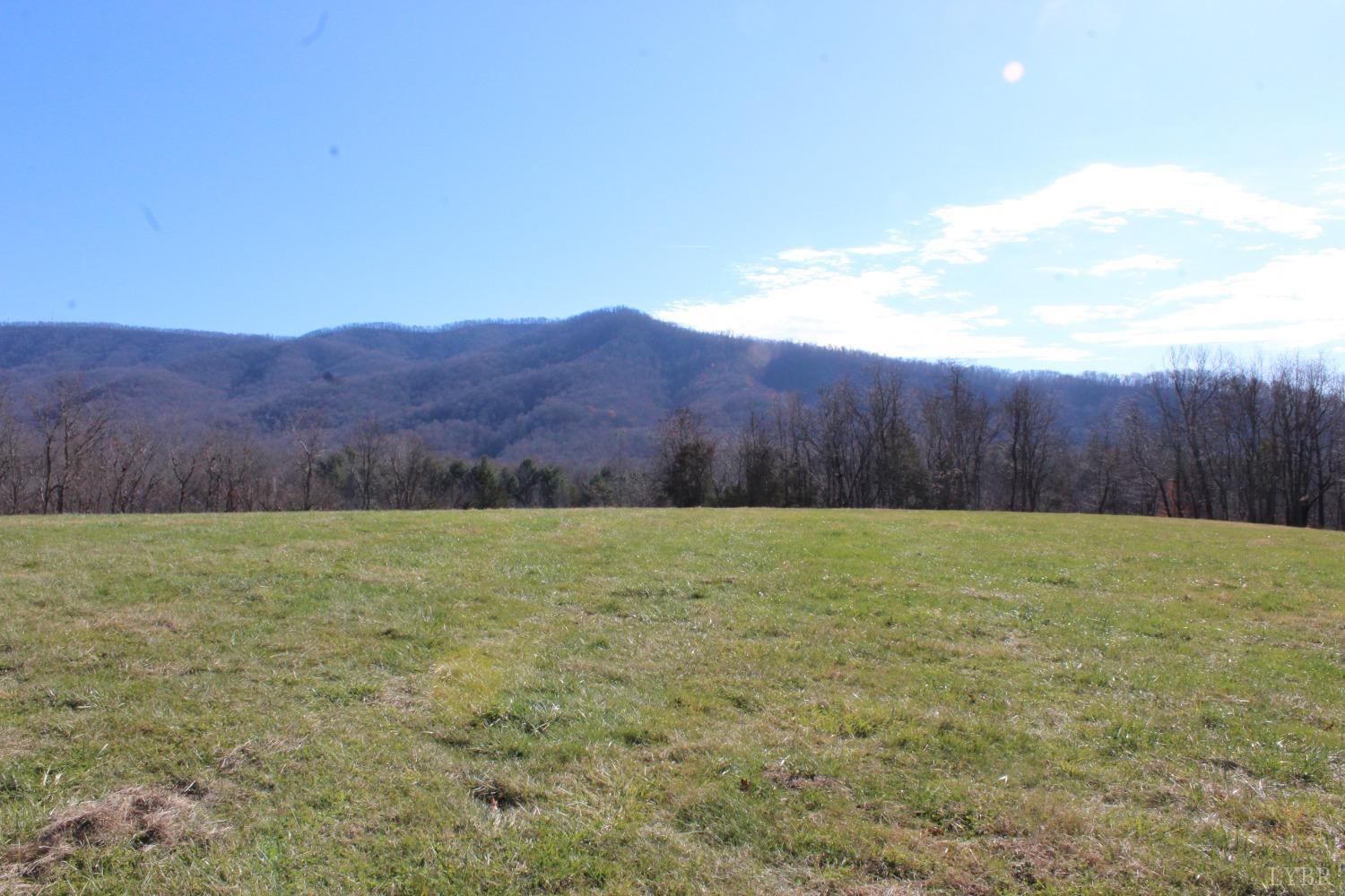899 Wagon Trail Road Monroe, VA 24574 - Photo 2 of 83 Gallery Image 2
