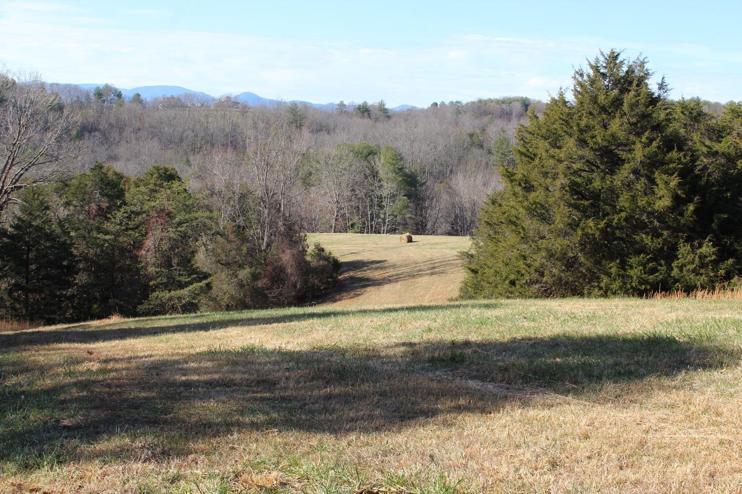 899 Wagon Trail Road Monroe, VA 24574 - Photo 28 of 83 Gallery Image 28