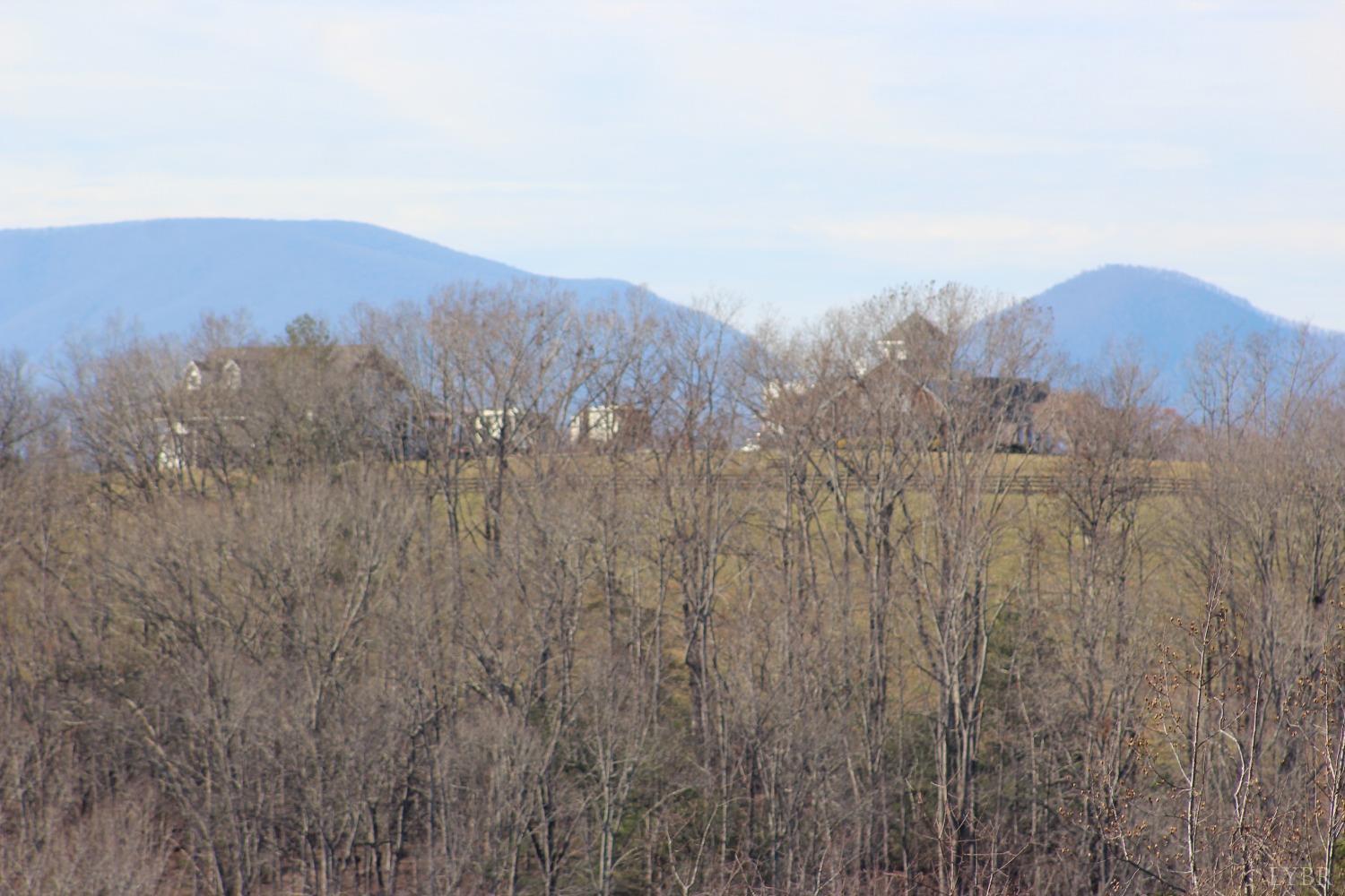 899 Wagon Trail Road Monroe, VA 24574 - Photo 29 of 83 Gallery Image 29