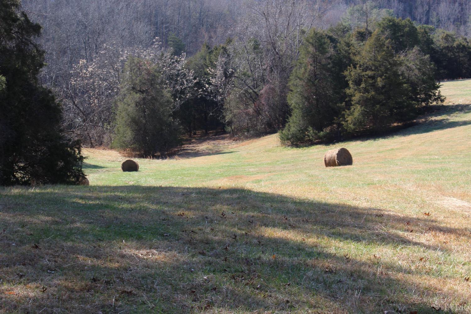 899 Wagon Trail Road Monroe, VA 24574 - Photo 30 of 83 Gallery Image 30
