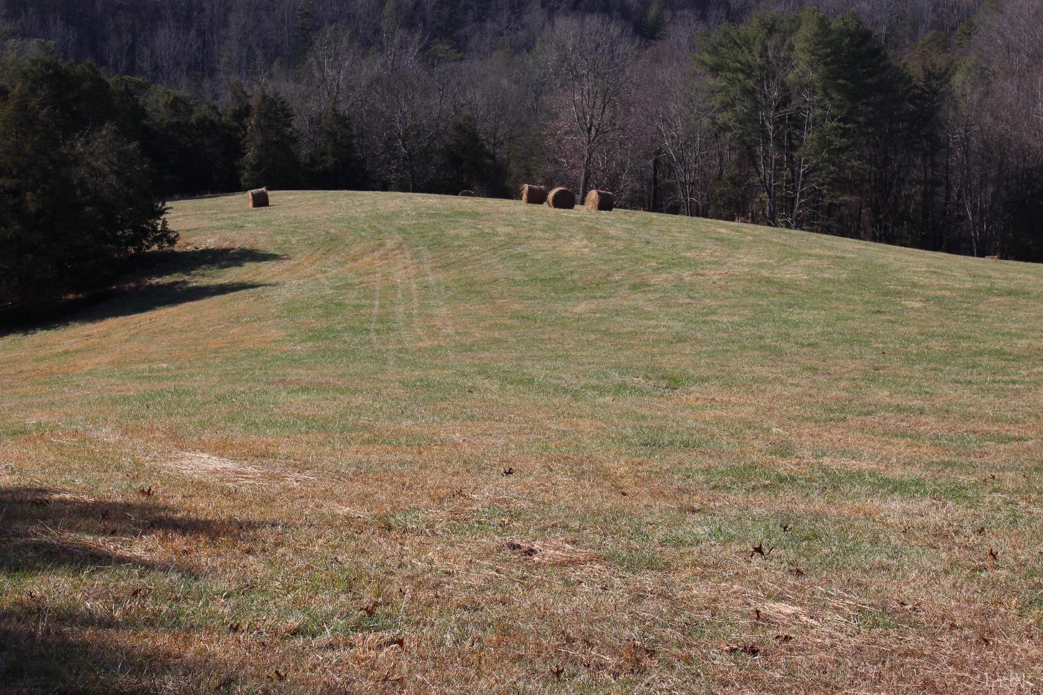 899 Wagon Trail Road Monroe, VA 24574 - Photo 31 of 83 Gallery Image 31