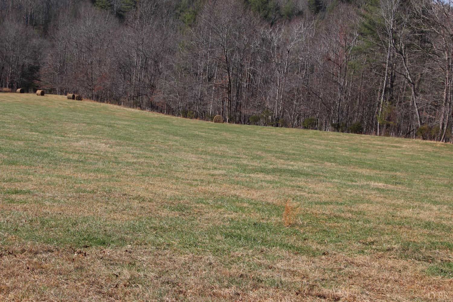 899 Wagon Trail Road Monroe, VA 24574 - Photo 32 of 83 Gallery Image 32