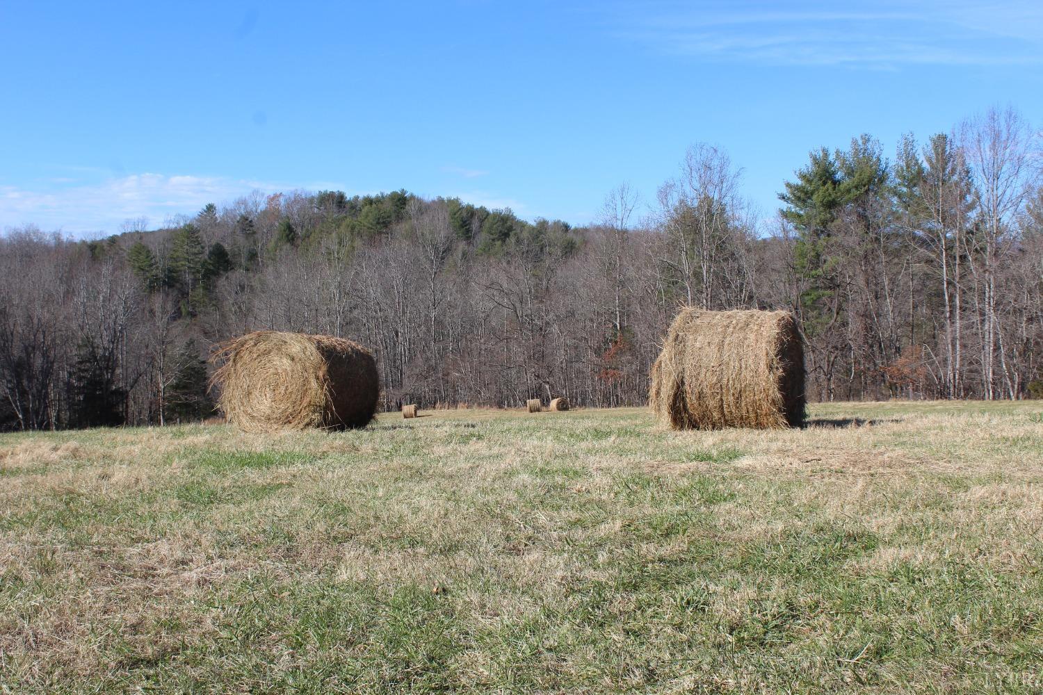 899 Wagon Trail Road Monroe, VA 24574 - Photo 33 of 83 Gallery Image 33