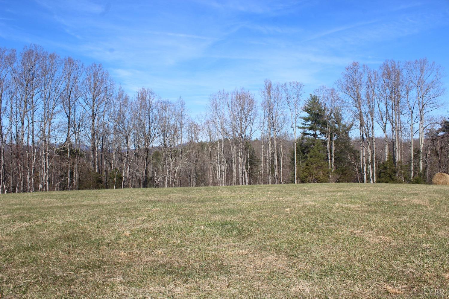 899 Wagon Trail Road Monroe, VA 24574 - Photo 40 of 83 Gallery Image 40