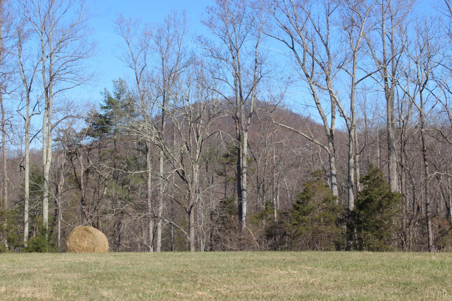 899 Wagon Trail Road Monroe, VA 24574 - Photo 41 of 83 Gallery Image 41