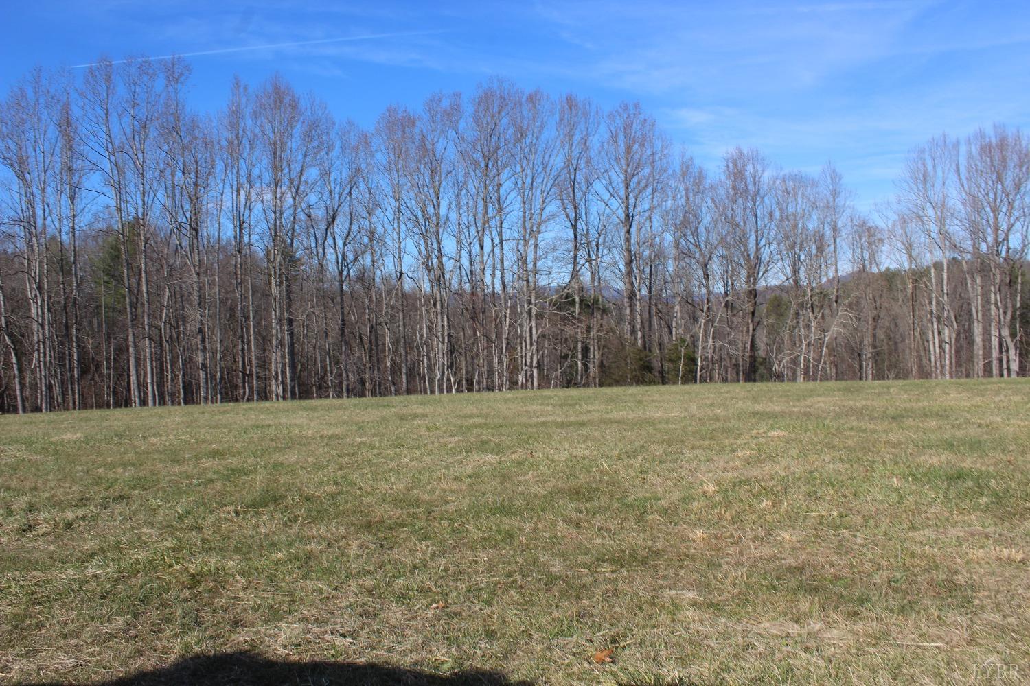 899 Wagon Trail Road Monroe, VA 24574 - Photo 42 of 83 Gallery Image 42