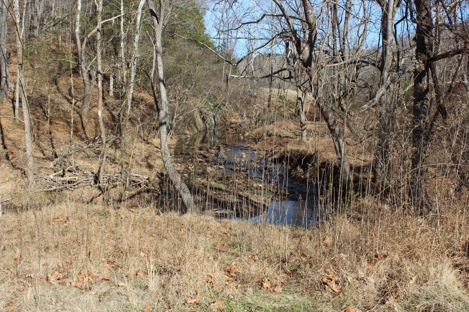 899 Wagon Trail Road Monroe, VA 24574 - Photo 50 of 83 Gallery Image 50