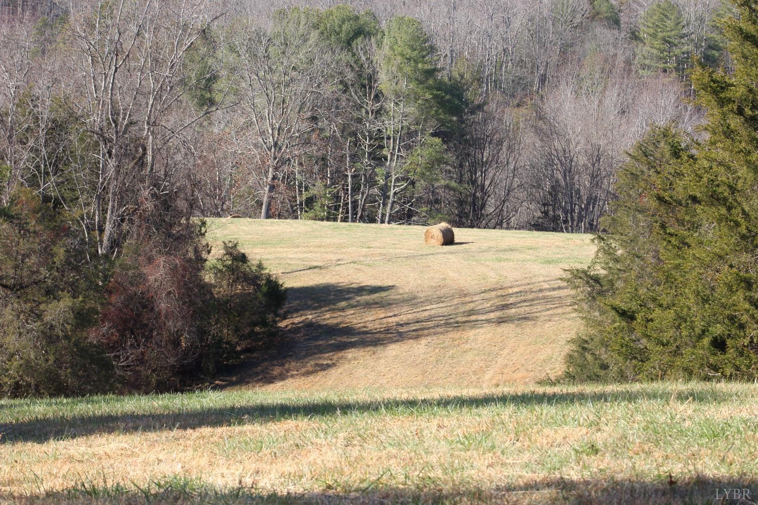 899 Wagon Trail Road Monroe, VA 24574 - Photo 6 of 83 Gallery Image 6