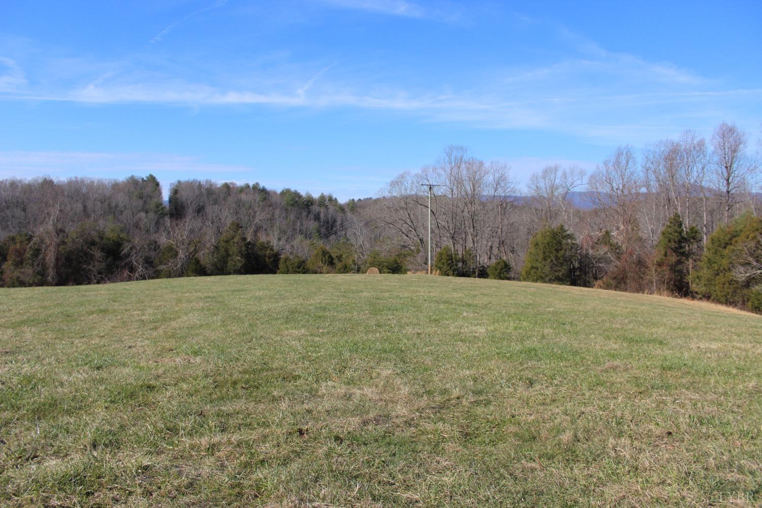 899 Wagon Trail Road Monroe, VA 24574 - Photo 10 of 83 Gallery Image 10