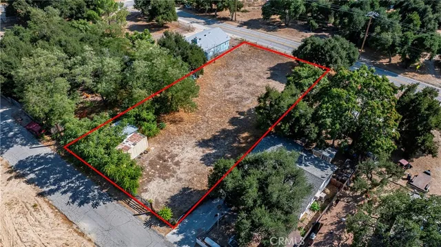 an aerial view of a yard with plants and large trees