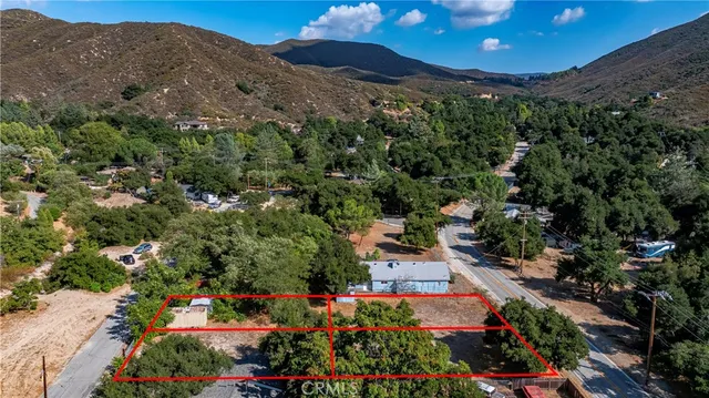 a view of city and flowers around