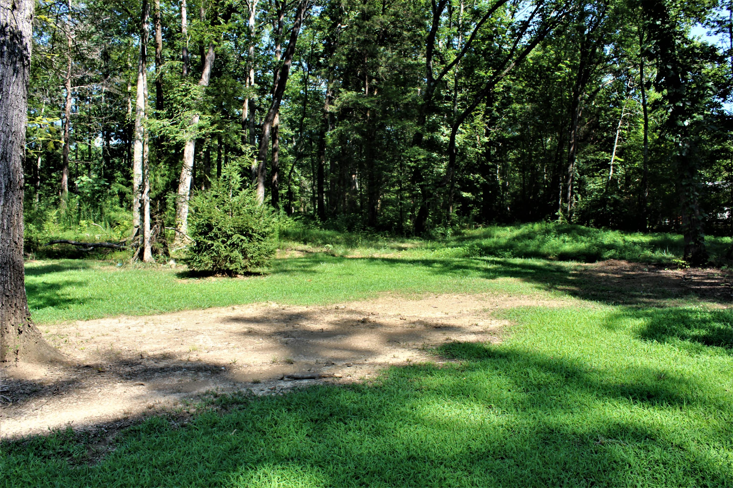 10875 Ooltewah Georgetown Road Georgetown, TN 37336 - Photo 27 of 27 IMG_3740