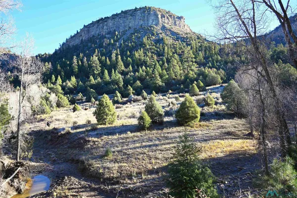 $209,000 | 352 Cr 352 Creek, Dulce, NM 87528