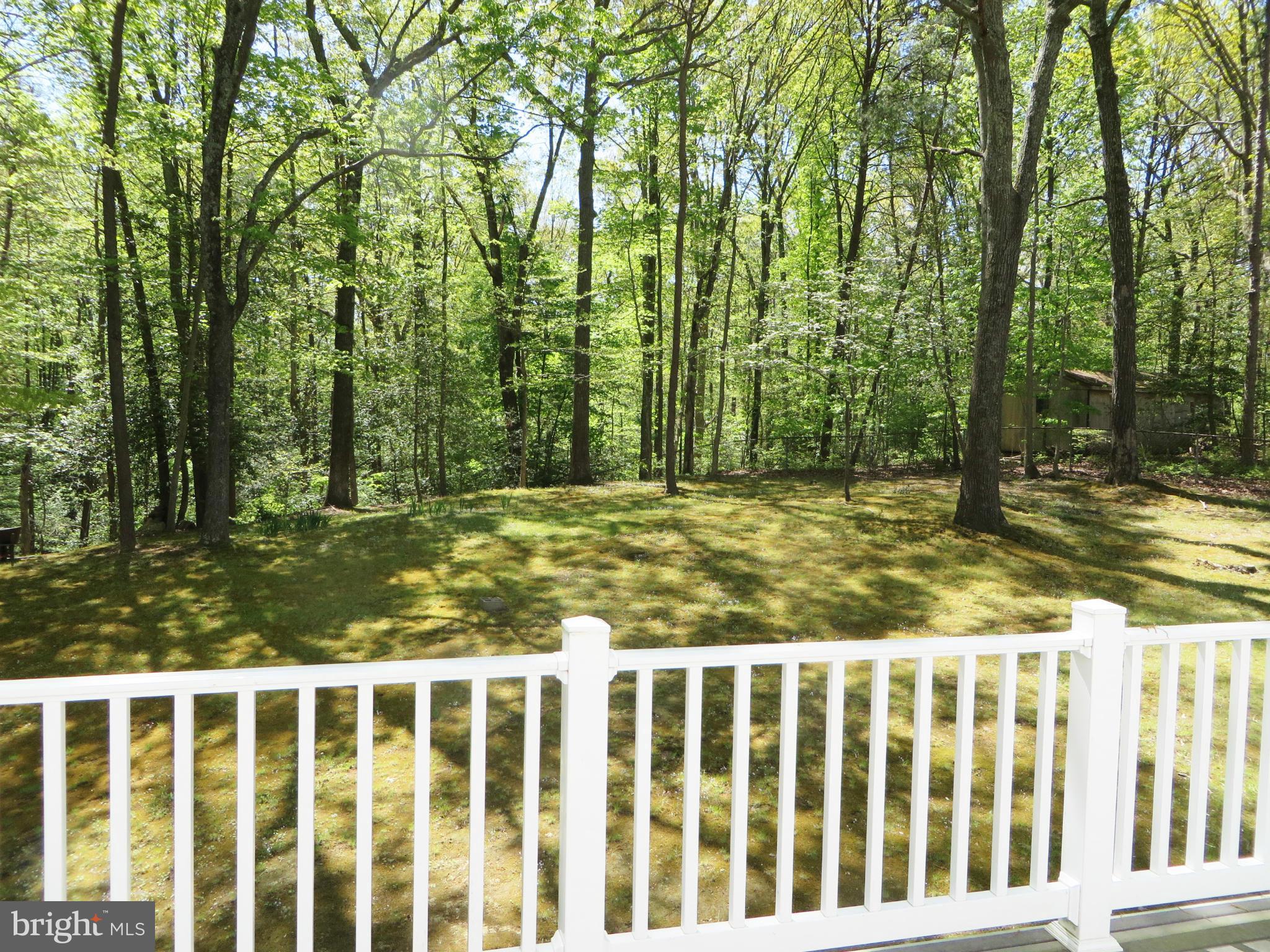 25085 Morgan Road Hollywood, MD 20636 - Photo 16 of 29 View from the deck