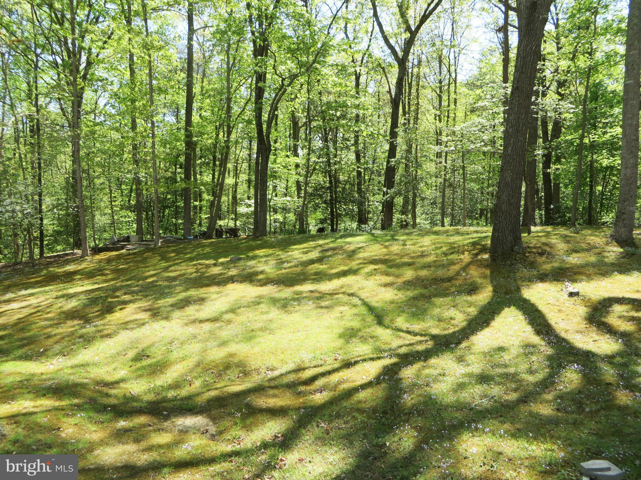 25085 Morgan Road Hollywood, MD 20636 - Photo 17 of 29 Yard backs to trees