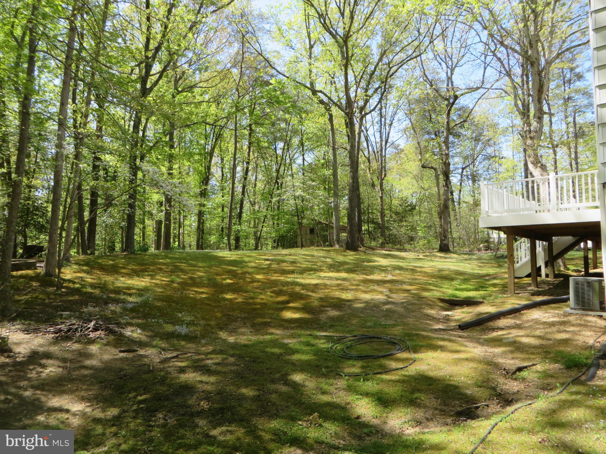 25085 Morgan Road Hollywood, MD 20636 - Photo 19 of 29 Another yard view
