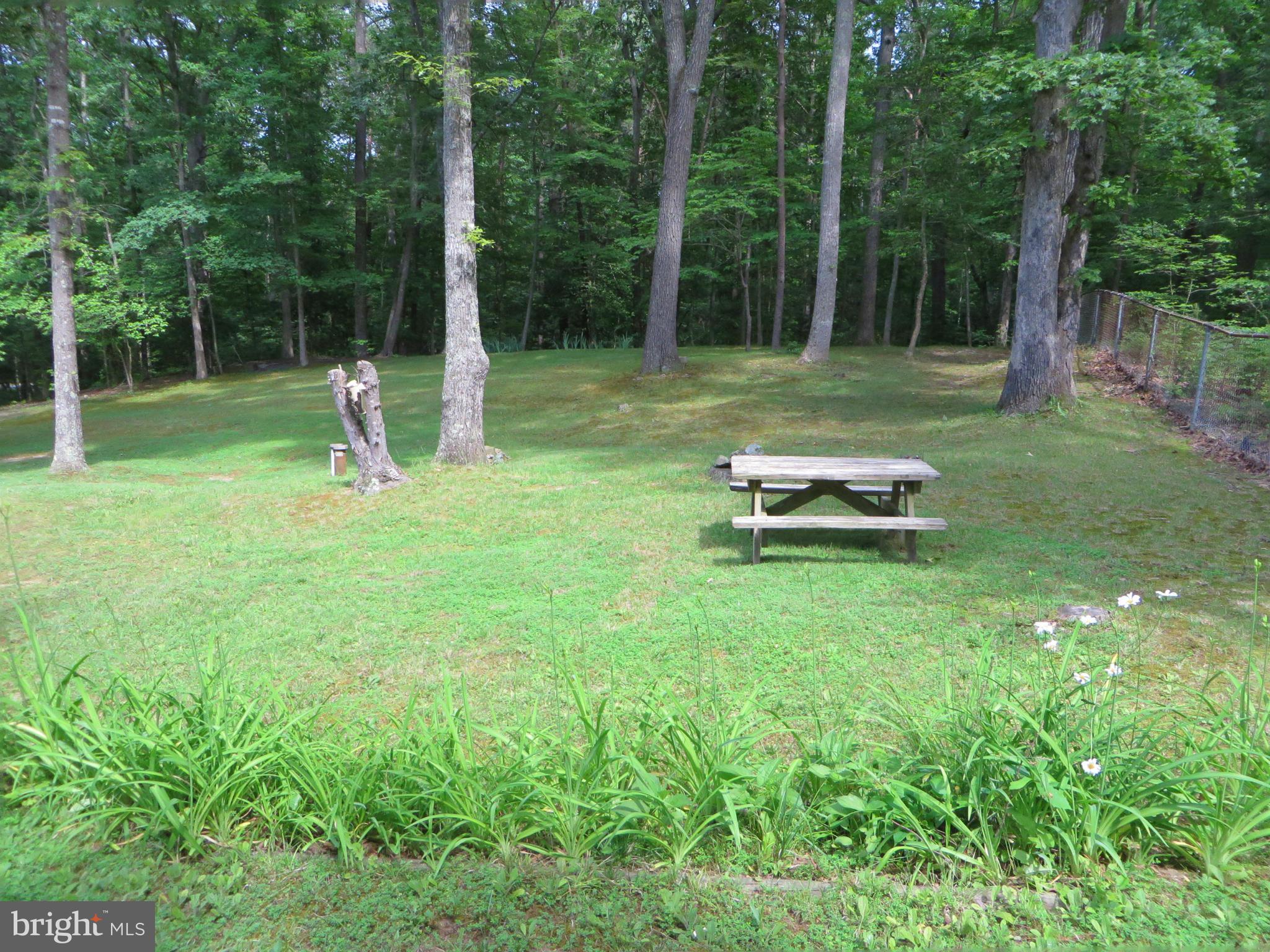25085 Morgan Road Hollywood, MD 20636 - Photo 23 of 29 Nice spot for lunch!