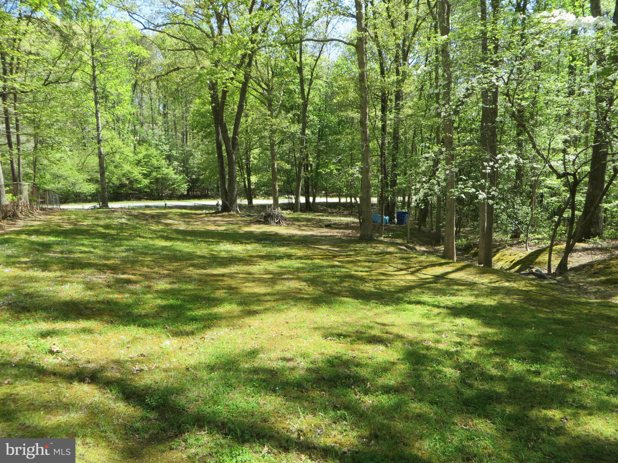 25085 Morgan Road Hollywood, MD 20636 - Photo 6 of 29 Big backyard, plenty of play space!