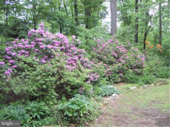 768 Springton Road Glenmoore, PA 19343 - Photo 6 of 25 Gallery Image 6