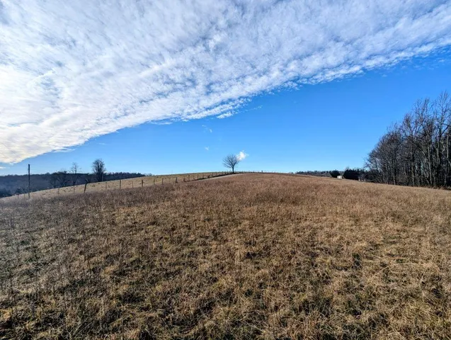 $89,900 | Tbd Pinnacle Lane, Meadows Of Dan, VA 24120