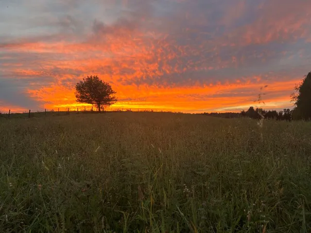 $89,900 | Tbd Pinnacle Lane, Meadows Of Dan, VA 24120