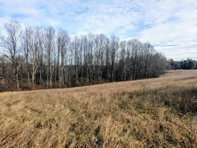 $89,900 | Tbd Pinnacle Lane, Meadows Of Dan, VA 24120