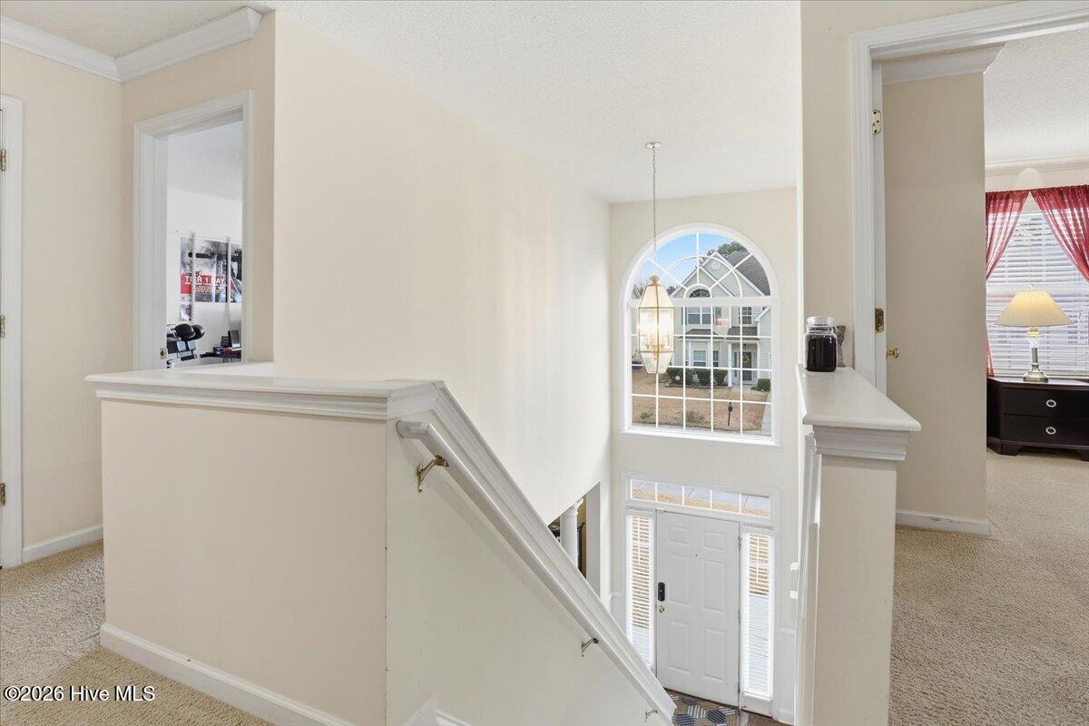 5135 Primland Lane Raleigh, NC 27610 - Photo 42 of 52 49-5135 Primeland Ln-49