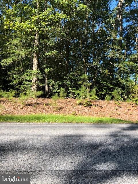 Lot A-1 Lot A-1 Cool Spring Road Milton, DE 19968 - Photo 1 of 4 Lot from Road
