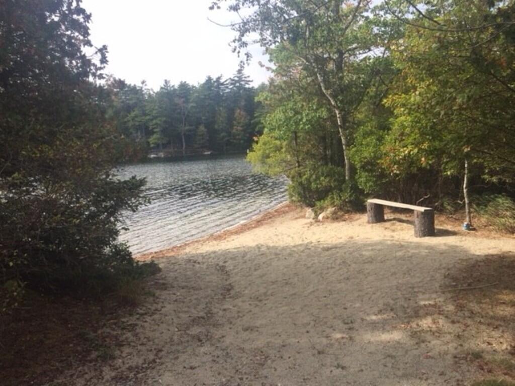 213 Kimball Camp Road Mount Desert, ME 04660 - Photo 21 of 22 119IMG_3419