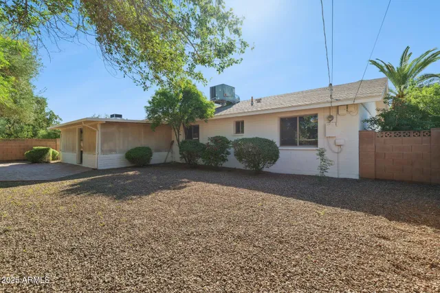 a view of a yard with plants and trees