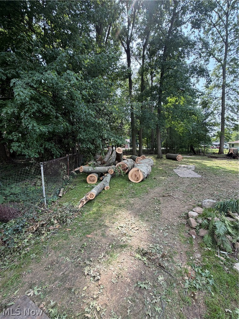 4220 Mill Trace Road Youngstown, OH 44511 - Photo 4 of 11 Gallery Image 4
