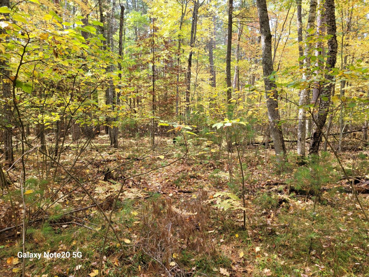 Lot #90 Eagle Pines Road Eagle River, WI 54521 - Photo 2 of 20 Gallery Image 2