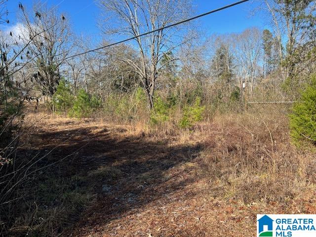 1271 West Ashby Road, Unit 94 ACRES Brierfield, AL 35035 - Photo 4 of 4