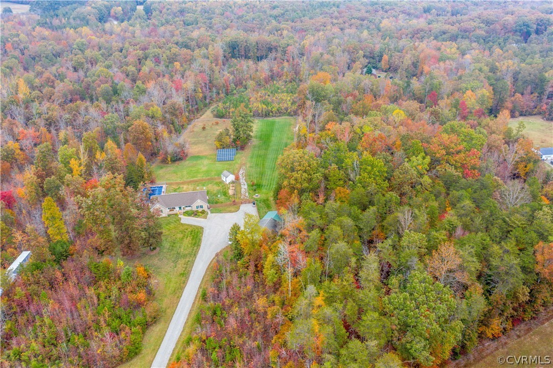 24410 Johnson Road Jetersville, VA 23083 - Photo 45 of 47 a close up of a plant in a garden