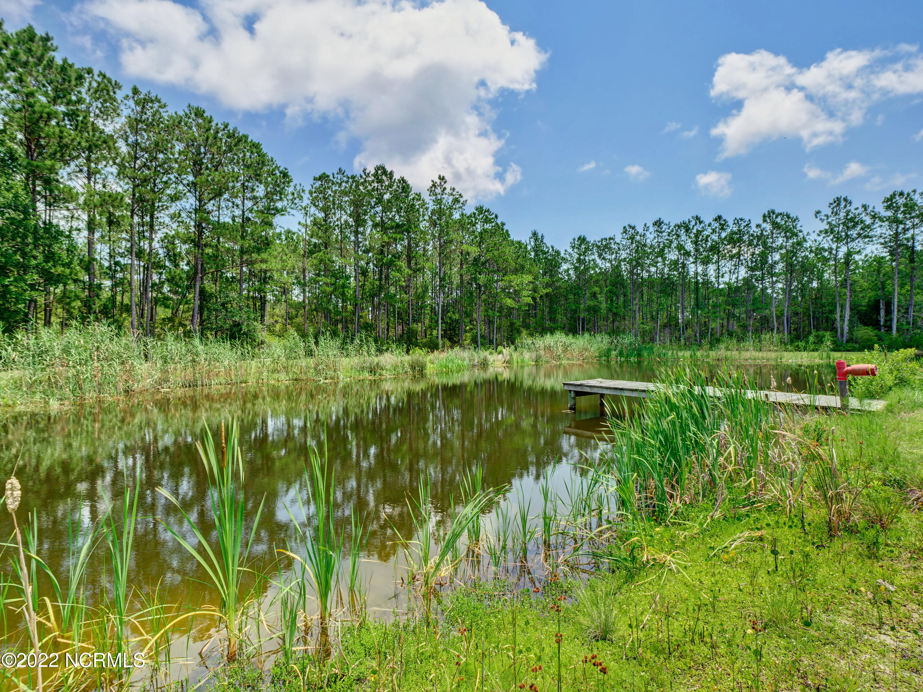 751 Osprey Point Road Beaufort, NC 28516 - Photo 38 of 41 050_p5600630_1_2_3_4_5_6