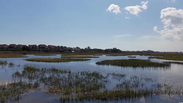 $1,595,000 | 1259 Oatland Lake Drive, Pawleys Island, SC 29585
